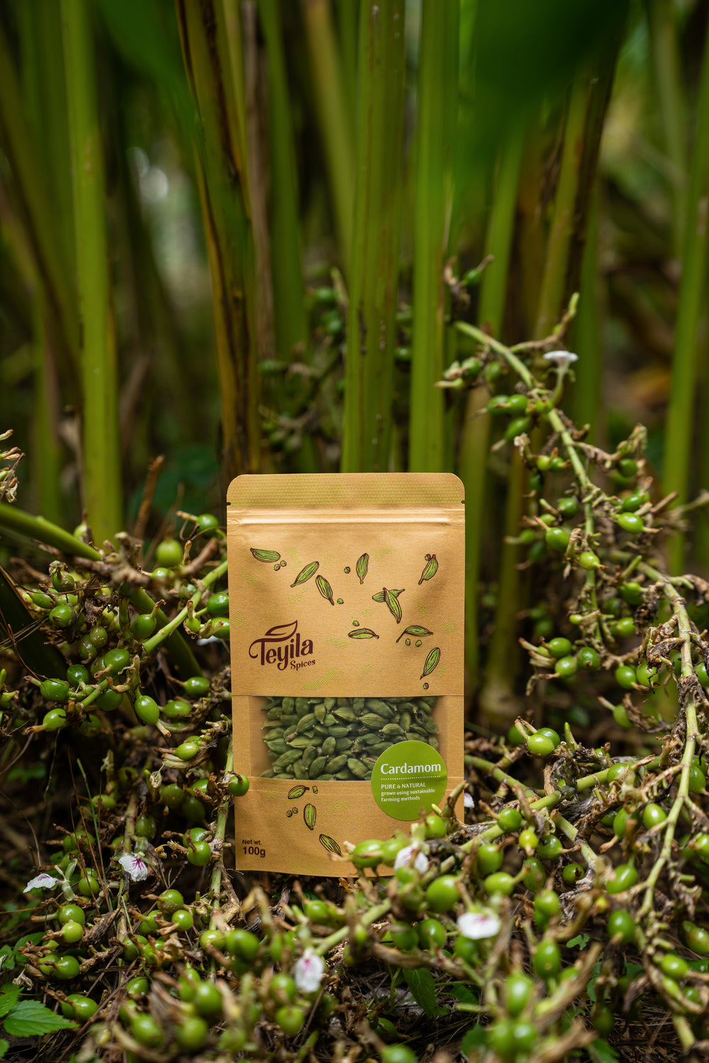 Cardamom 100gm